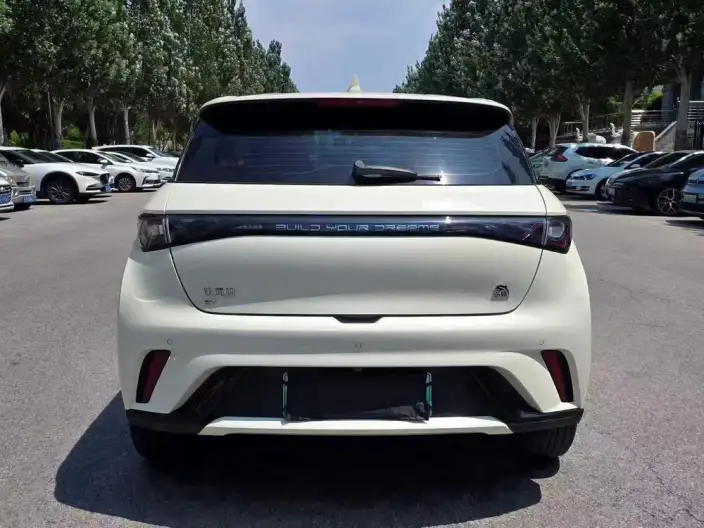 BYD Dolphin 2024 Model Honor Edition 420km Fashion Edition – фото 5