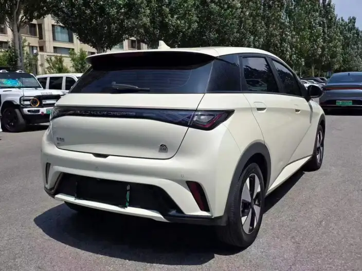 BYD Dolphin 2024 Model Honor Edition 420km Fashion Edition – фото 6