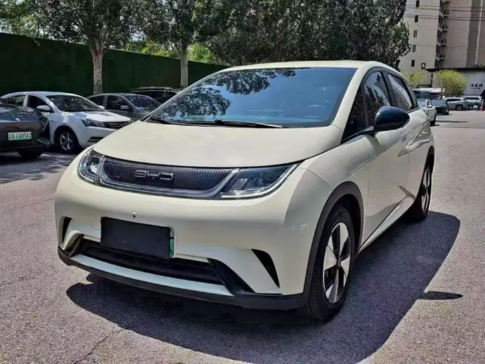 BYD Dolphin 2024 Model Honor Edition 420km Fashion Edition – фото 10