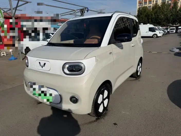 Wuling Hongguang MINIEV 2024 Model 215km Youth Edition Lithium Iron Phosphate
