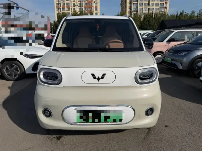 Wuling Hongguang MINIEV 2024 Model 215km Youth Edition Lithium Iron Phosphate