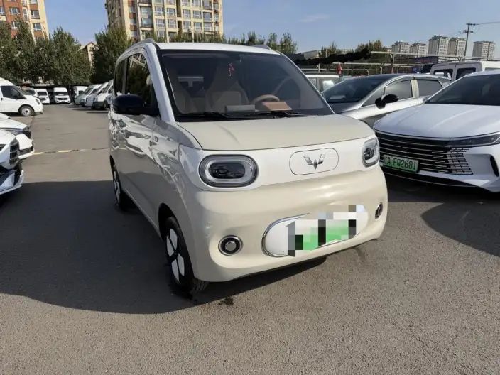 Wuling Hongguang MINIEV 2024 Model 215km Youth Edition Lithium Iron Phosphate