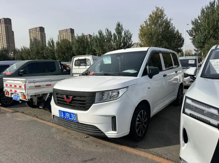 WULING Hongguang Plus 2020 Model 1.5L Manual Standard Model 5 seat