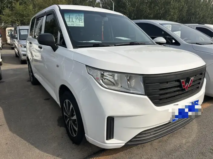 WULING Hongguang Plus 2020 Model 1.5L Manual Standard Model 5 seat