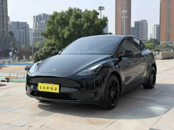 Model Y 2022 Model Facelift Rear-wheel drive version – фото 1