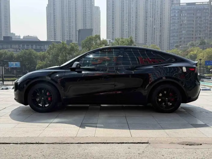 Model Y 2022 Model Facelift Rear-wheel drive version – фото 3