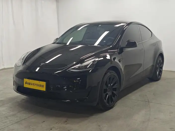 Model Y 2022 Model Facelift Rear-wheel drive version – фото 1