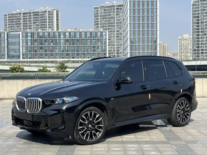 BMW X5 2023 Model xDrive40Li M Sports Night Set – фото 1