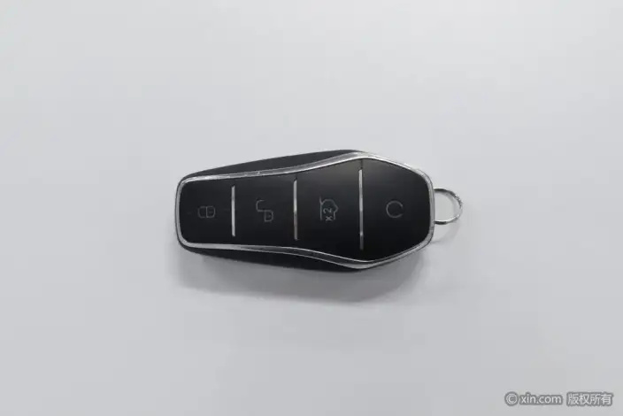 BYD Qin PLUS DM 2025 Model Smart Driving Edition DM-i 55KM Leading Model – фото 6