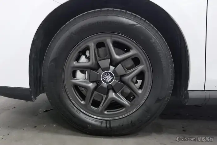 BYD Qin PLUS DM 2025 Model Smart Driving Edition DM-i 55KM Leading Model – фото 8