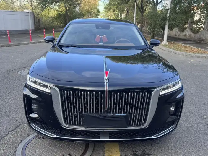HONGQI H9 2020 Model Facelift 2.0T Flag Enjoy Edition