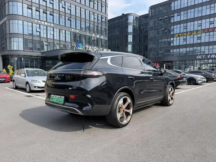 Denza X PHEV 2020 Model 2.0T Ultimate Edition – фото 5