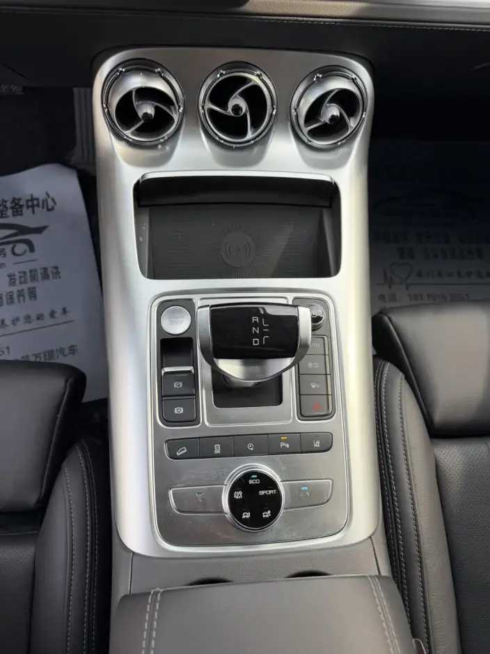 Denza X PHEV 2020 Model 2.0T Ultimate Edition – фото 6
