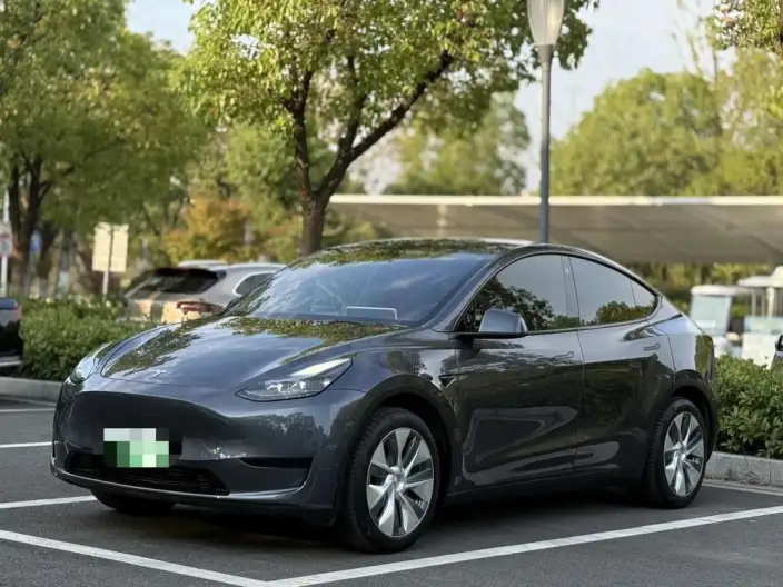 Model Y 2022 Model Facelift Rear-wheel drive version – фото 1