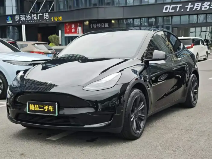 Model Y 2022 Model Facelift Rear-wheel drive version – фото 1