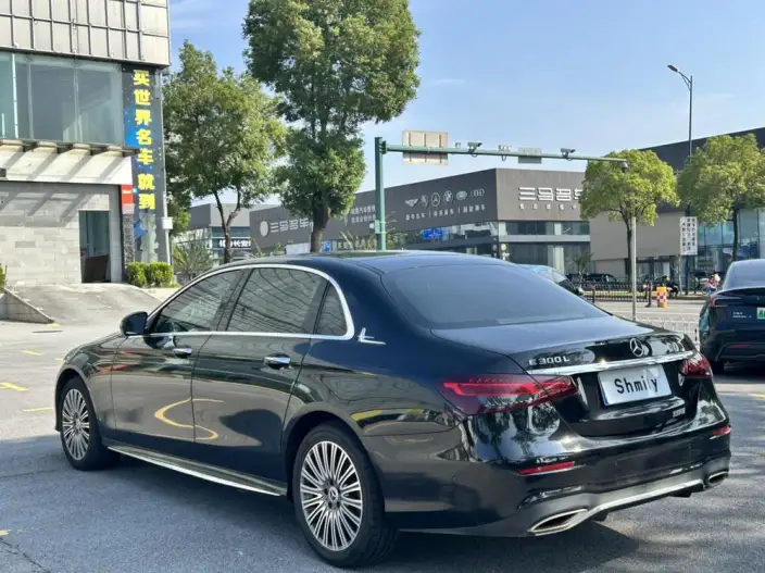 Mercedes-Benz E-Class 2022 Model E 300 L Luxury Model sedan – фото 4