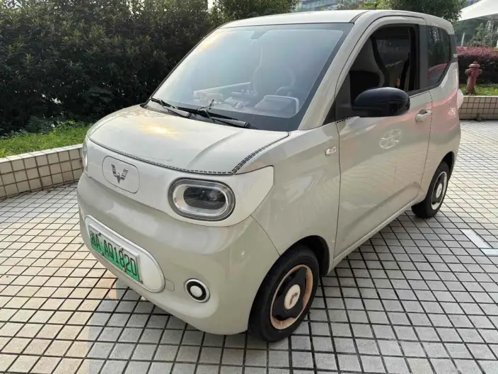 Wuling Hongguang MINIEV 2024 Model 215km Youth Edition Lithium Iron Phosphate