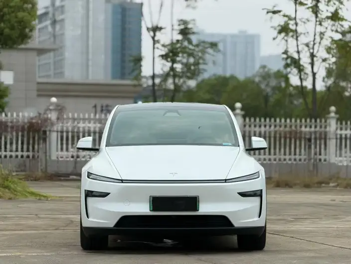 Model Y 2025 Model Long Battery Life Pro All-wheel drive version – фото 2