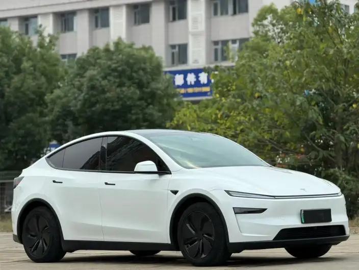 Model Y 2025 Model Long Battery Life Pro All-wheel drive version – фото 3