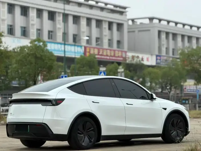 Model Y 2025 Model Long Battery Life Pro All-wheel drive version – фото 6