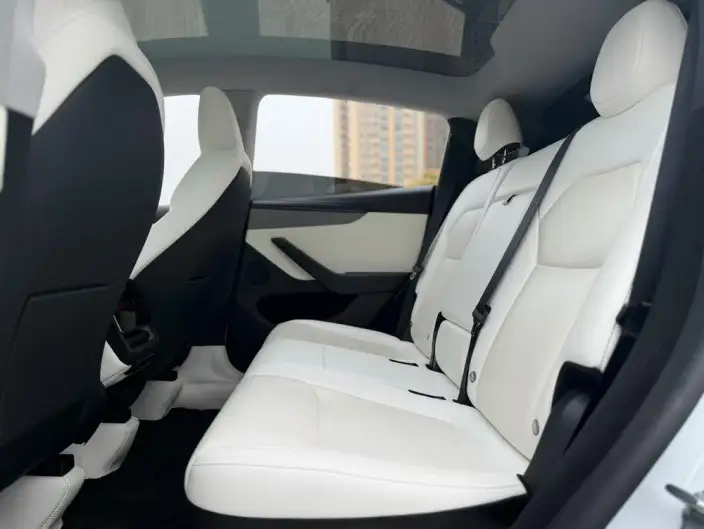 Model Y 2025 Model Long Battery Life Pro All-wheel drive version – фото 9