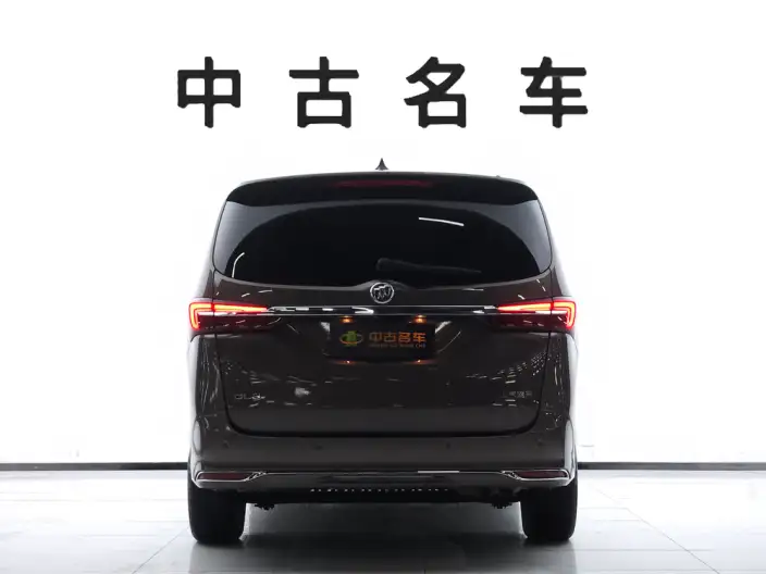 Buick GL8 2023 Model Business class 2.0T Luxury Model – фото 5