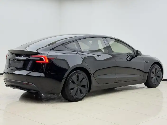 Model 3 2023 Model Rear-wheel drive version – фото 6