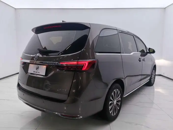 Buick GL8 2023 Model Business class 2.0T Comfort Model – фото 5