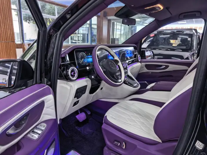 Viano 2023 Model 2.0T Business Edition 7 seat – фото 9