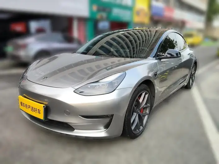 Model 3 2022 Model Performance High performance All-wheel drive version – фото 1