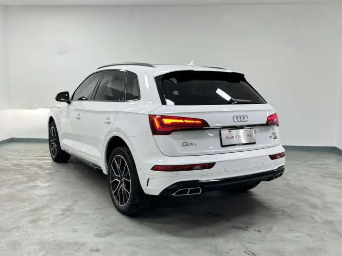 Audi Q5L 2025 Model quattro 45th Anniversary Collector Edition Edition 45TFSI Luxury Dynamic Model – фото 5