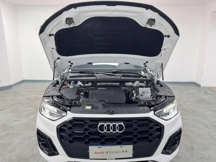 Audi Q5L 2025 Model quattro 45th Anniversary Collector Edition Edition 45TFSI Luxury Dynamic Model – фото 8