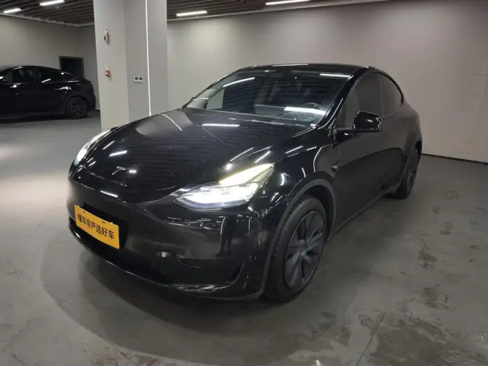Model Y 2024 Model Rear-wheel drive version – фото 1