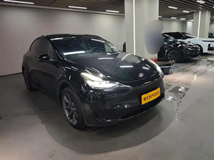 Model Y 2024 Model Rear-wheel drive version – фото 2