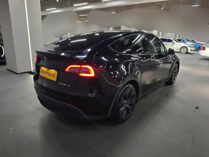Model Y 2024 Model Rear-wheel drive version – фото 4