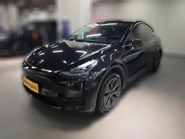 Model Y 2024 Model Rear-wheel drive version – фото 1