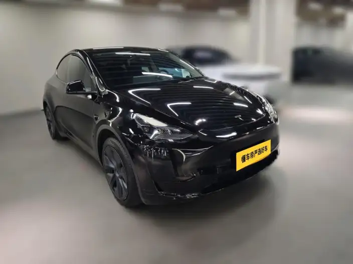 Model Y 2024 Model Rear-wheel drive version – фото 2