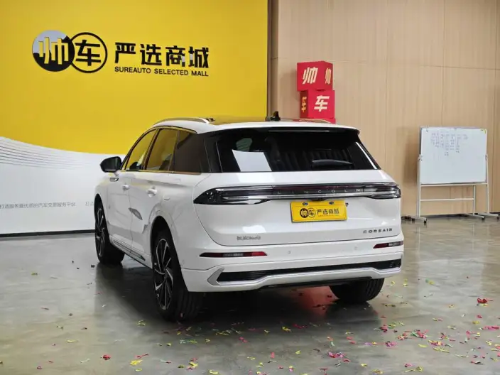 Lincoln Corsair 2024 Model 2.0T 4WD Zunyao Edition