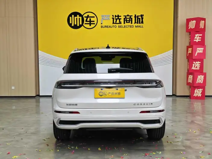 Lincoln Corsair 2024 Model 2.0T 4WD Zunyao Edition – фото 5