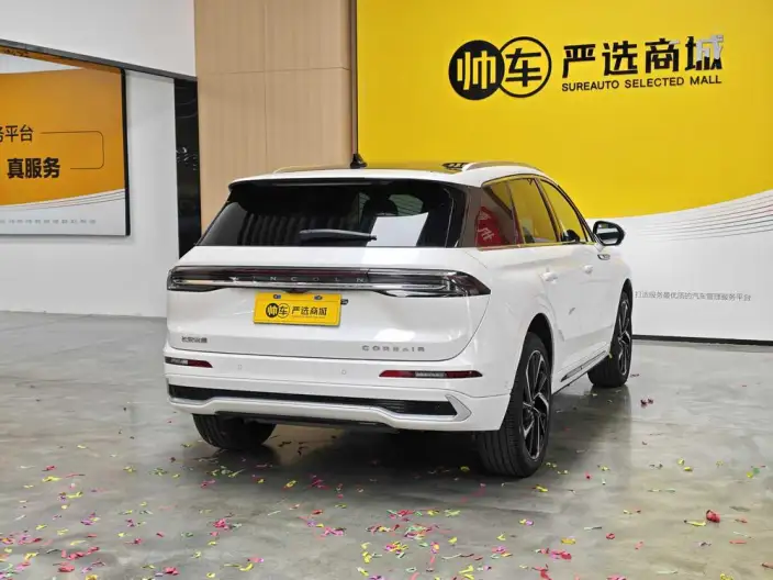 Lincoln Corsair 2024 Model 2.0T 4WD Zunyao Edition – фото 6