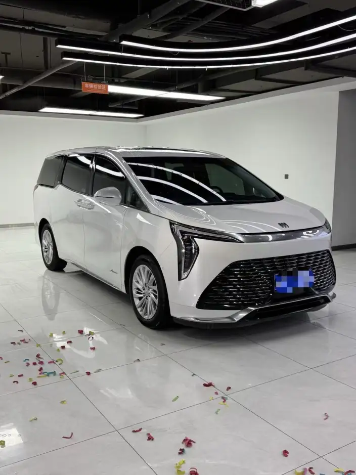 Century 2023 Model 2.0T VII seat Yunshi Edition