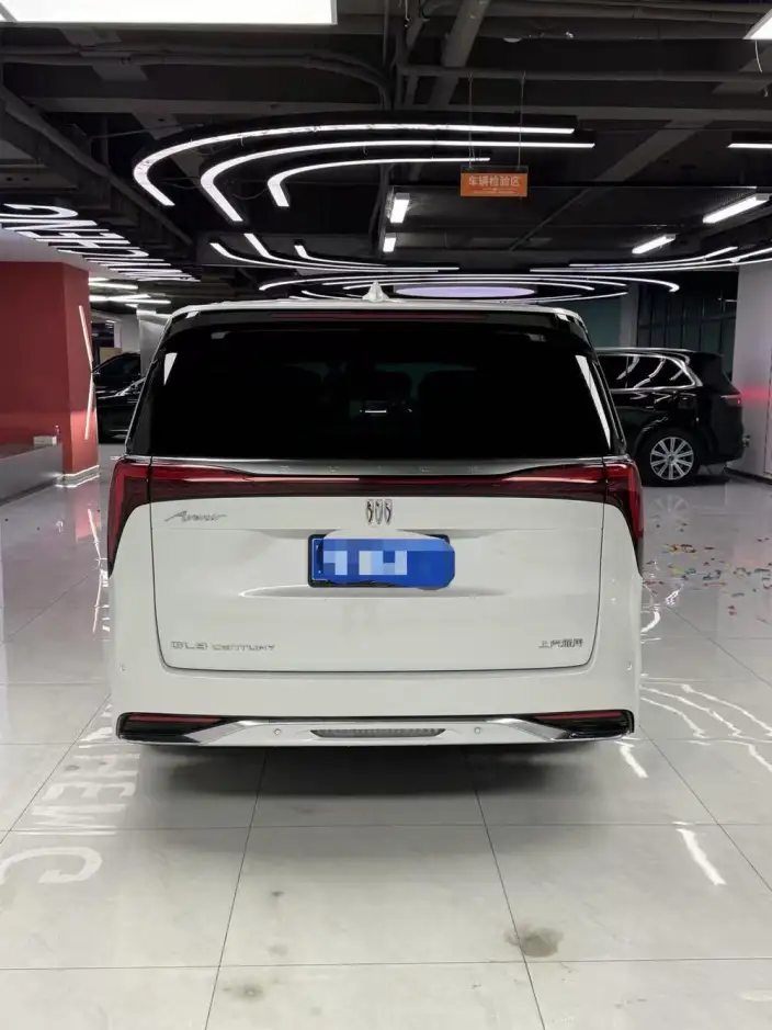 Century 2023 Model 2.0T VII seat Yunshi Edition – фото 5