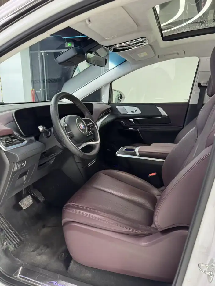 Century 2023 Model 2.0T VII seat Yunshi Edition – фото 9