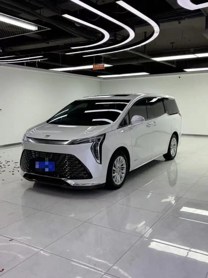 Century 2023 Model 2.0T VII seat Yunshi Edition – фото 10