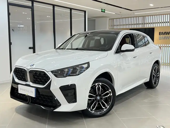 BMW X2 Imported 2025 Model sDrive25i M Sports Set – фото 1