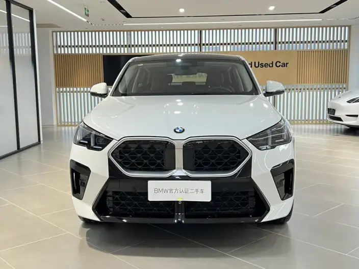 BMW X2 Imported 2025 Model sDrive25i M Sports Set – фото 2