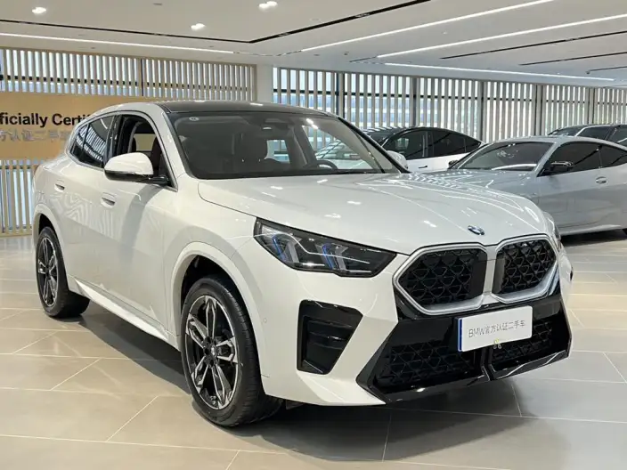 BMW X2 Imported 2025 Model sDrive25i M Sports Set – фото 3