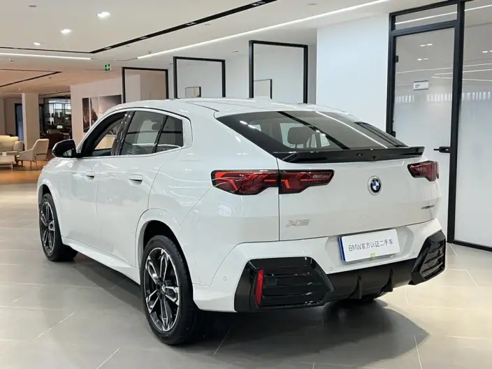 BMW X2 Imported 2025 Model sDrive25i M Sports Set – фото 4