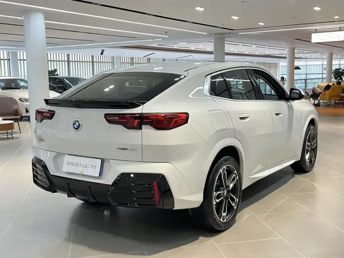 BMW X2 Imported 2025 Model sDrive25i M Sports Set – фото 6