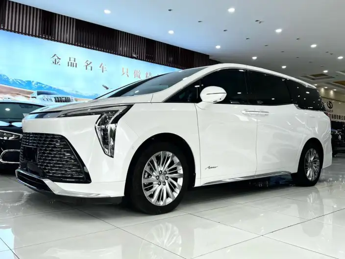 Century 2023 Model 2.0T VI seat Yunshi Edition